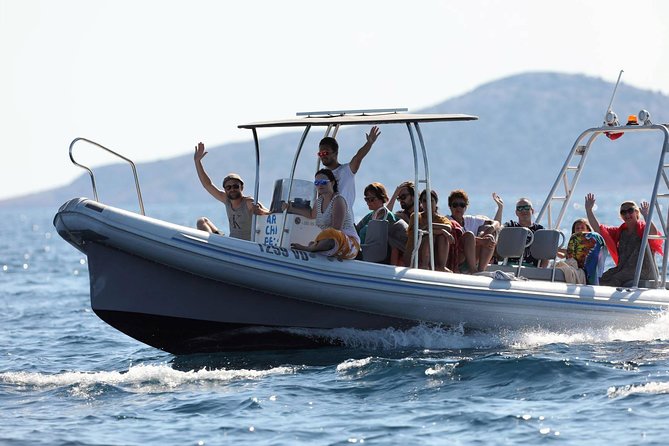 Kornati Experience small group (12 pax) boat tour - Price and value: where your money actually goes