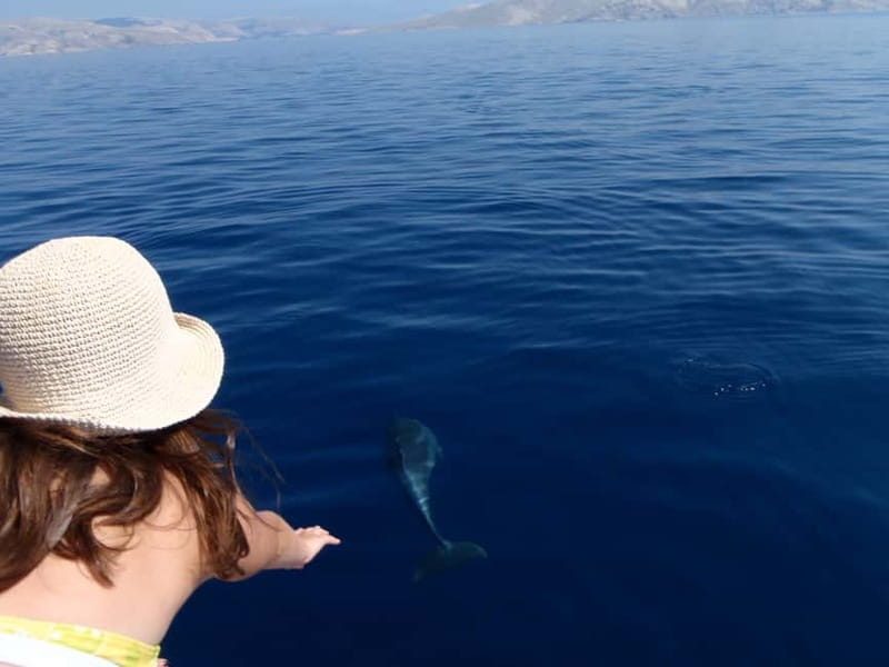 Krk:Rab & Pag Boat Trip with Swimming & City Tour with lunch - From MB Tajana Krk to the Adriatic: the day starts smoothly
