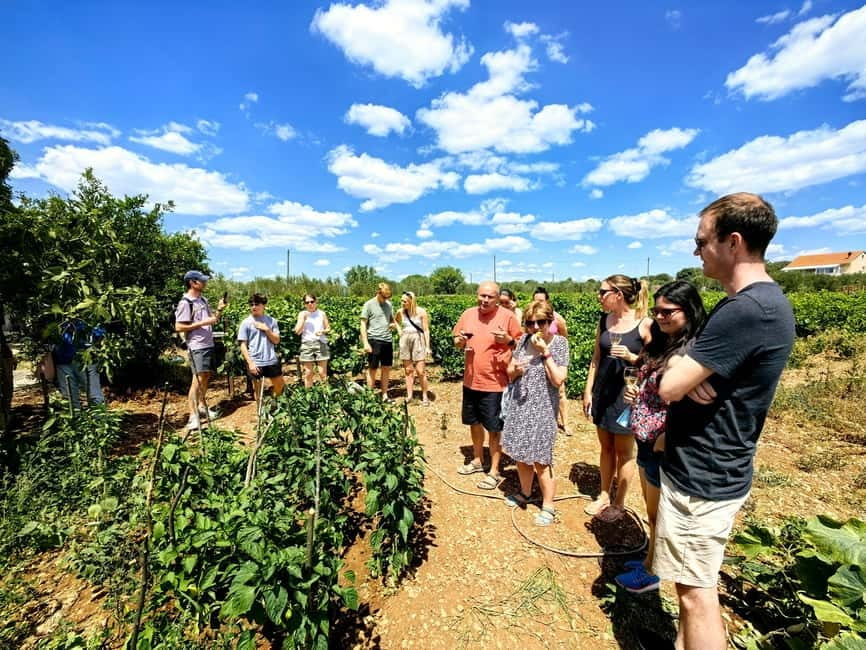 Krka waterfalls tour with lunch from Split - Small-group comfort, English host, and when it feels worth it