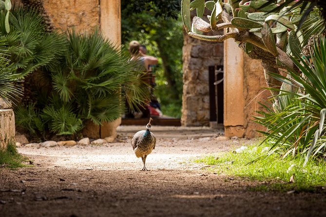 Legendary Game of Thrones & Lokrum Island Tour - Group size, guide style, and why it matters