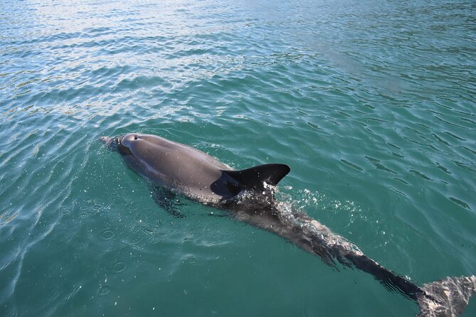 Lim Bay Outrigger Canoe Tour - Why Lim Bay on an outrigger canoe beats a quick coastal stop