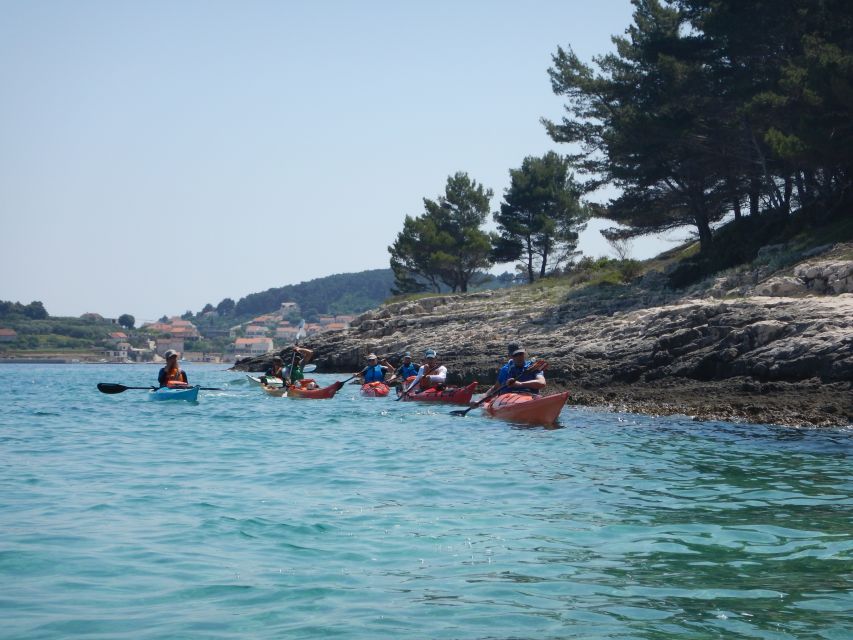 Lumbarda: Half-Day Kayaking and History with Wine delight - Food Plan: Homemade Details, Kids’ Drinks, and Real Taste