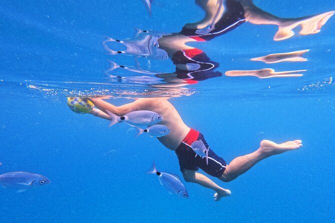 Makarska: 3-Island Speedboat Tour with Cave and Blue Lagoon - Jelsa, Hvar: 50 minutes to walk the old town