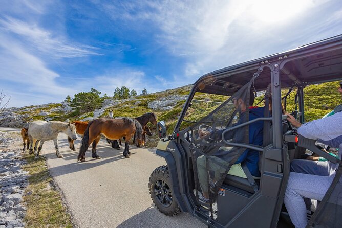 Makarska: Baggy Skywalk & Biokovo viewpoint Tour - Stop 1 at 850 m: the quick taste of island views