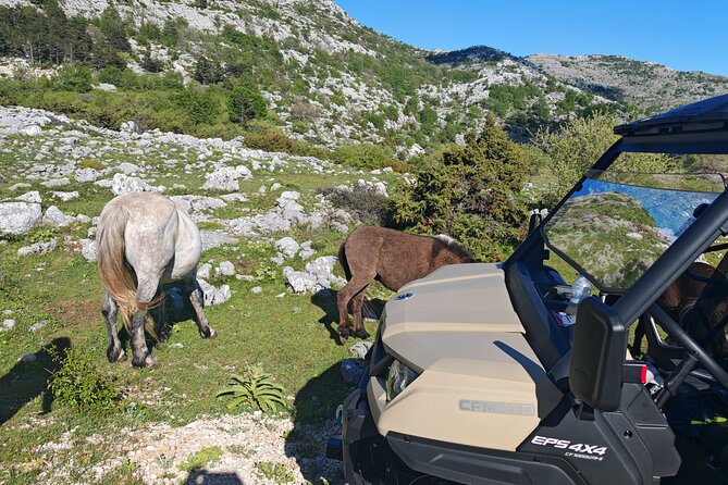 Makarska: Baggy Skywalk & Biokovo viewpoint Tour - Time planning: what a 4-hour day feels like in real life