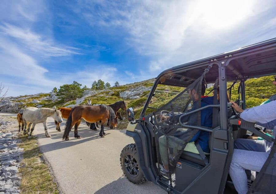 Makarska: Buggy Skywalk and Biokovo Tour - Skywalk Biokovo: where the thrill really hits