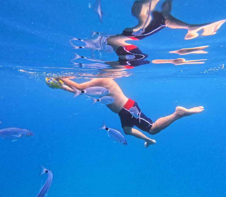 Makarska: Golden Horn Beach & Secluded Bays Speedboat Tour - Stop 2 near Bol: a 30-minute swim and snorkeling break