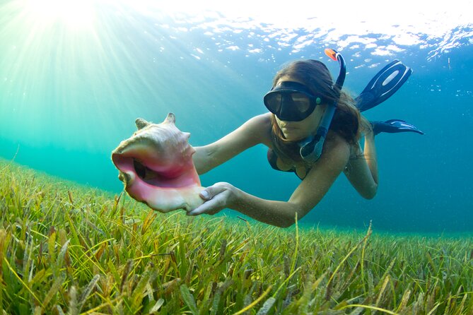 Makarska Riviera kayak tour. - Swim and Snorkel Break: How to Make This Part Work for You
