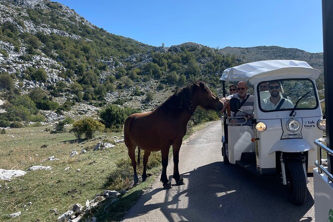 Makarska: Skywalk Tour with a Tuk Tuk - Skip the line ticket - Weather, timing, and who will enjoy this most