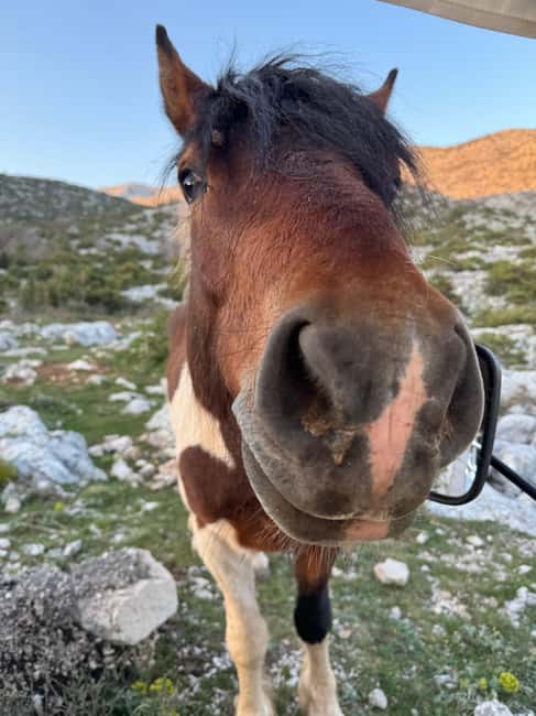 Makarska: Skywalk Tuk-Tuk Tour with Skip-the-Line Ticket - What you drink and nibble along the way (and why it matters)
