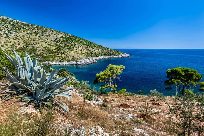 Mesmerizing Hvar speed boat tour with optional wine tasting - Drinks, snacks, and the small details that matter on a sea day
