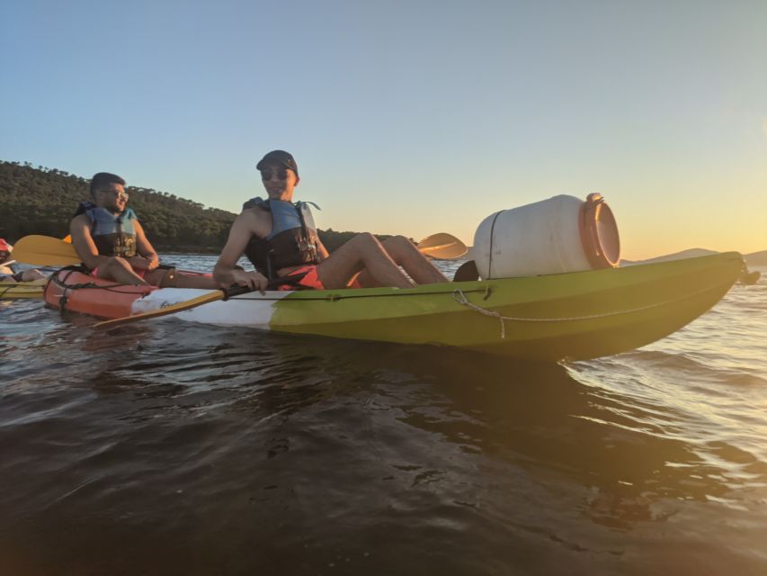 Morning Split Sea Kayaking Tour - Price and value: is $58 per person a fair deal
