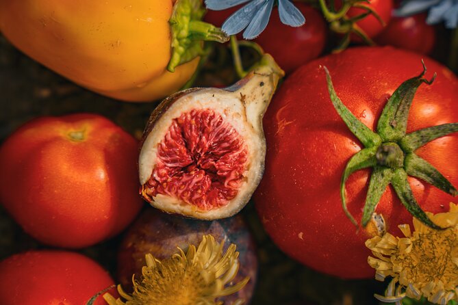 Olive farm & village - Key highlights you should care about
