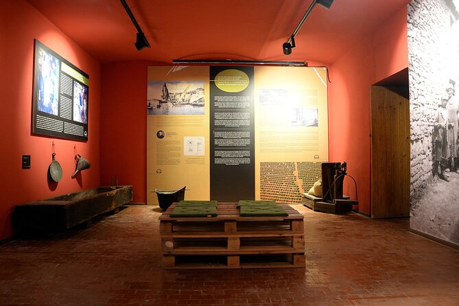 Olive Oil Guided Tasting and History in Pula - Museum Olei Histriae in Pula: Romans, Films, and How Olive Oil Became Important