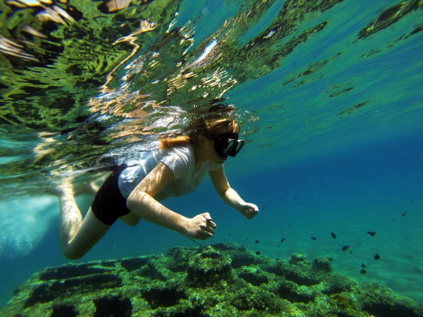Omiš: Kayaking and Snorkeling Tour - The Downstream Paddle: Clear Water, Canyon Energy, and a Swim Stop