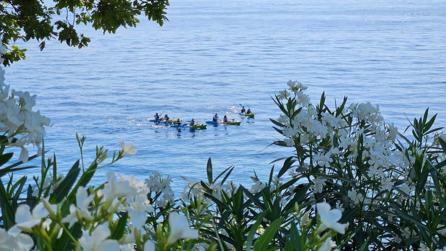 Opatija: Cliffs and caves kayak adventure - Snorkeling and Cove Swimming: Clear Water, Short Stops, Real Fun