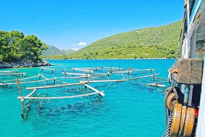 Oyster farm experience / Private day trip from Dubrovnik - Key things that make this trip work