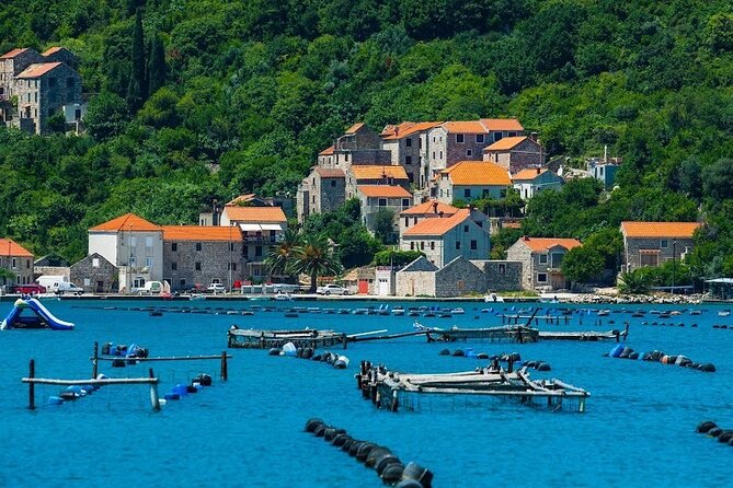 Oyster farm experience / Private day trip from Dubrovnik - Mali Ston Bay oysters: what the taste connects to
