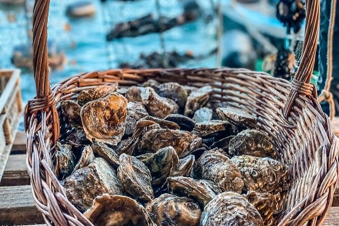 Oyster farm experience / Private day trip from Dubrovnik - Private day trip value: what you get for $258.30 per person