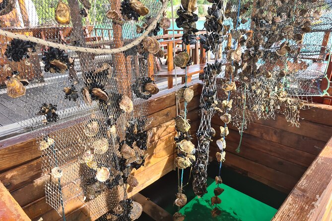 Oysters & Wine Tour From Dubrovnik (Small Group) - Key Highlights You Should Actually Care About