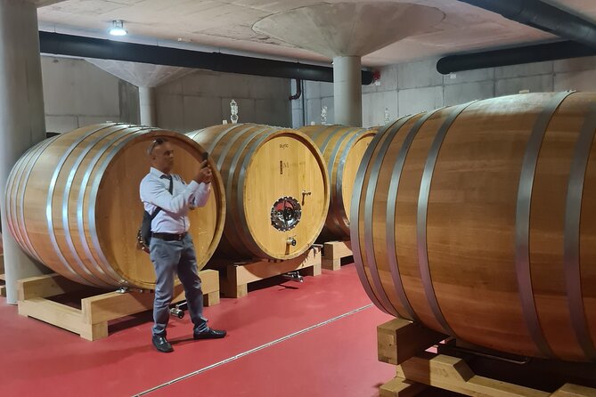 Oysters & Wine Tour From Dubrovnik (Small Group) - Pacing, Transport, and the Ston-to-Bay Flow