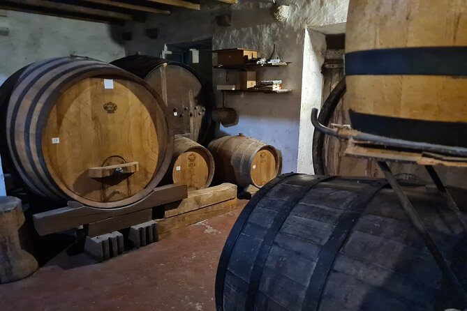 Oysters & Wine Tour From Dubrovnik (Small Group) - Who Should Book This Tour From Dubrovnik