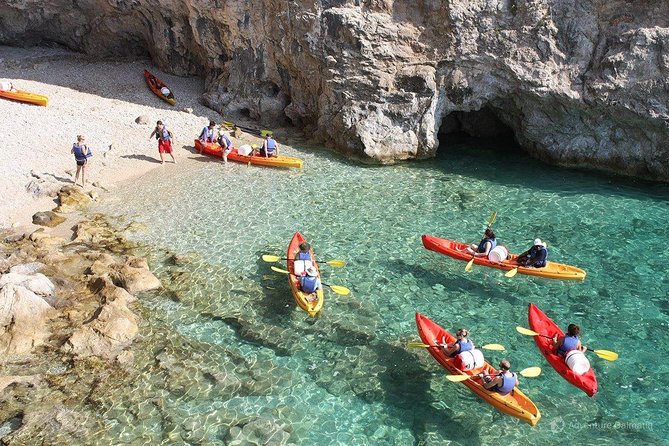 PADI Discover Scuba Diving in Dubrovnik - The Adriatic Sea Reality Check: What to Expect From Marine Life