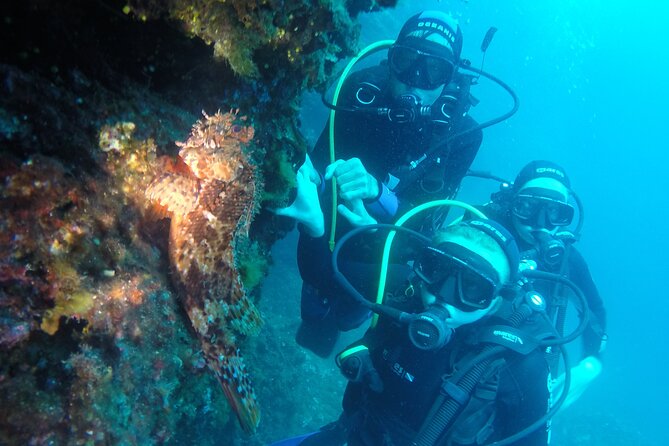 PADI Discover Scuba Diving in Dubrovnik - Instructor Energy: Michele, Marko, Laura, and the Importance of Calm Coaching