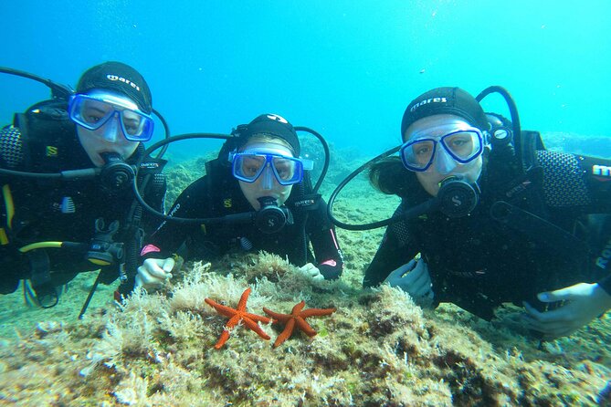 PADI Discover Scuba Diving in Dubrovnik - The Big Picture: A Beginner Program With Real Underwater Practice