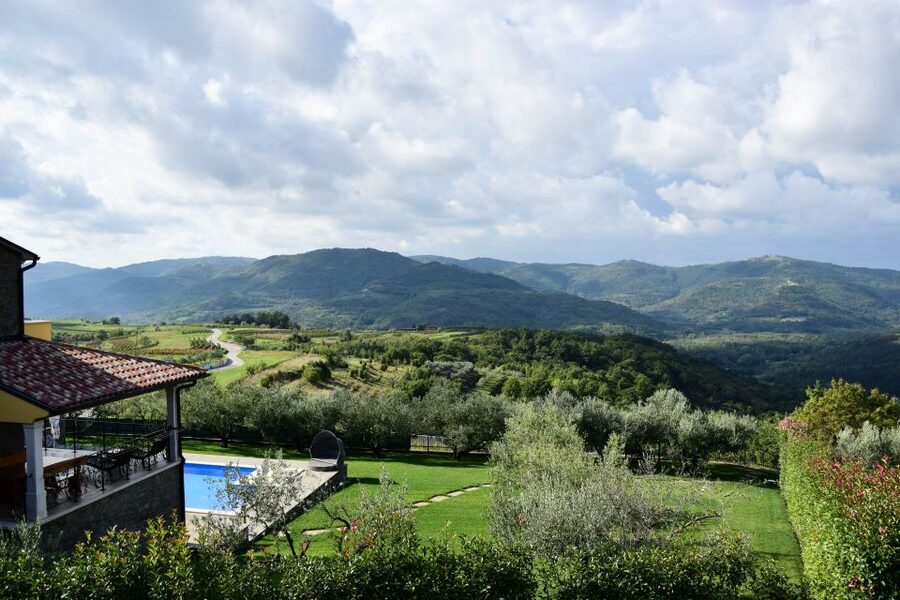 Paladini: Truffle Hunting Tour with 3-Course Tasting Menu - Timing and weather reality: plan for a forest day