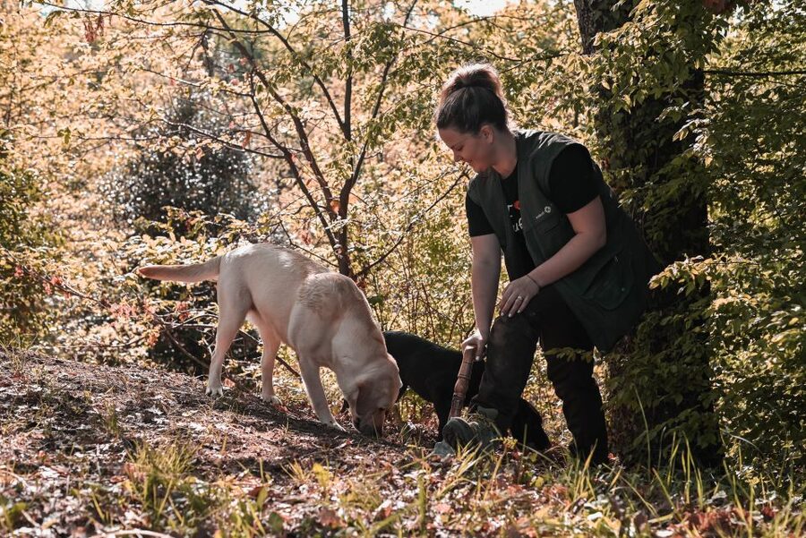 Paladini: Truffle Hunting Tour with 3-Course Tasting Menu - The start in Paladini: education first, then a guided walk with real context