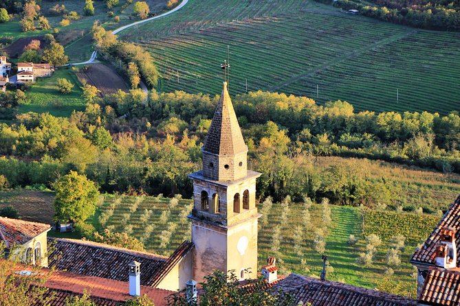 Parenzana Trail Full Day Cycling Tour from Pula, Rovinj, Poreč or Buje - Price and Value: What You Get for About $193