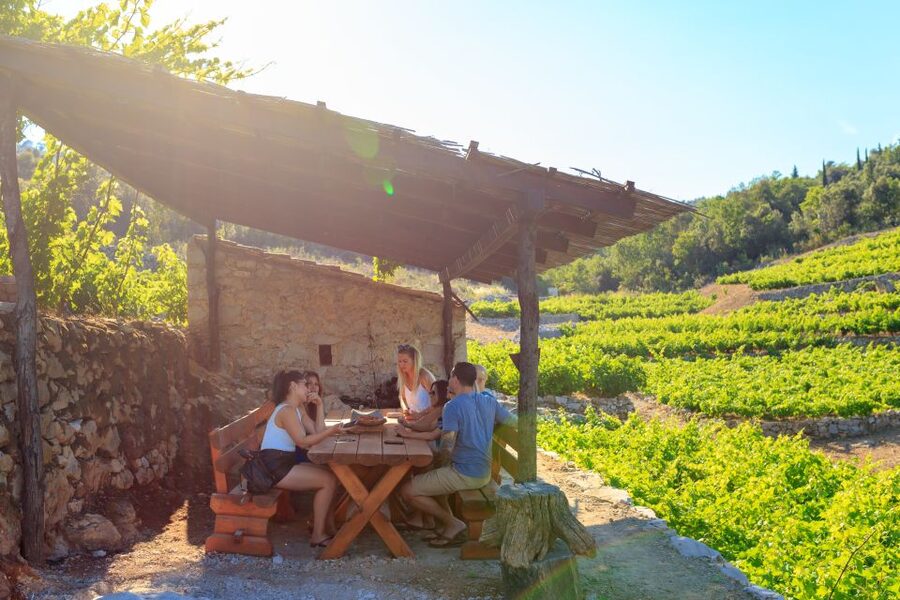 Pelješac Full-Day Wine and Food Tour from Dubrovnik - Key things that make this Pelješac day feel different
