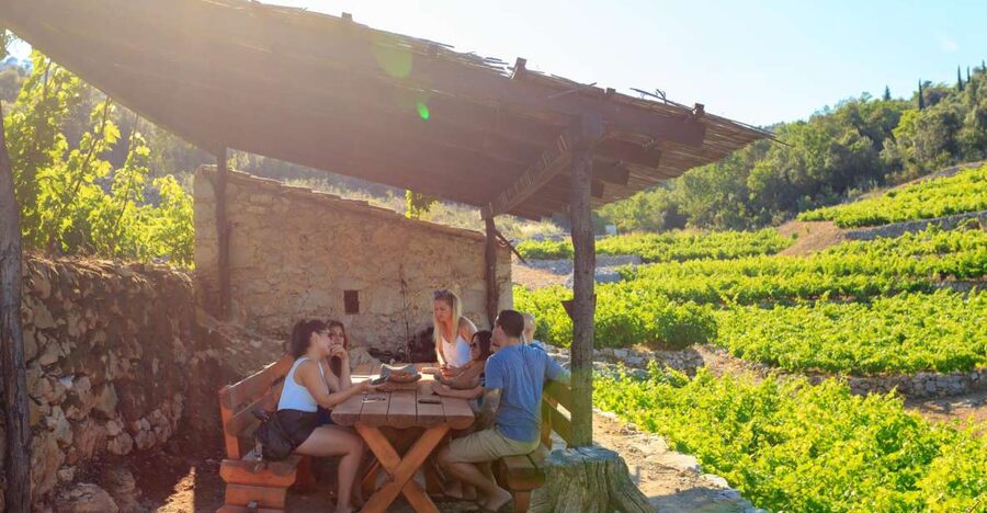Pelješac Full-Day Wine and Food Tour from Dubrovnik - Dubrovnik to Pelješac: why this 8-hour format works