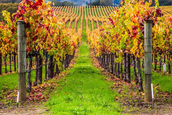 Peljesac Peninsula Wine Tasting Luxury Tour from Dubrovnik - Wine tasting on Peljesac: what you should budget and expect