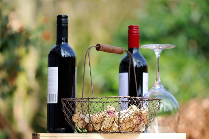 Peljesac Peninsula Wine Tasting Luxury Tour from Dubrovnik - Timing, stamina, and what to eat before you go
