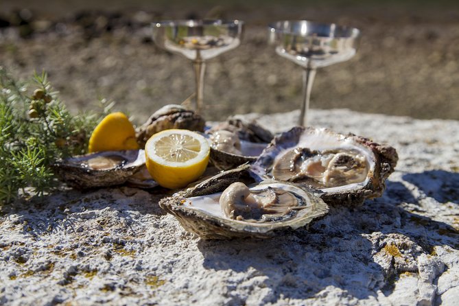 Peljesac Peninsula Wine Tasting Luxury Tour from Dubrovnik - Price and logistics: does this private tour feel like value?