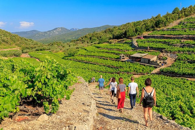 Peljesac&Ston Small-Group Food & Wine Experience from Dubrovnik - Key highlights worth circling