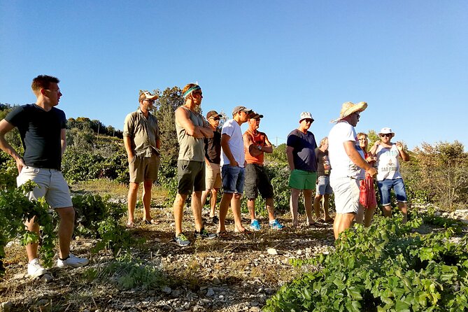 Peljesac&Ston Small-Group Food & Wine Experience from Dubrovnik - The oyster farm and boat tasting: fresh seafood, handled properly
