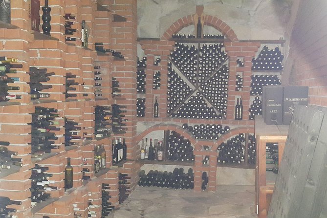 Pelješac Wine, Beach and Lunch - Relaxing Tour from Dubrovnik - The Dingač Tunnel photo moment, plus an easy view of vineyards
