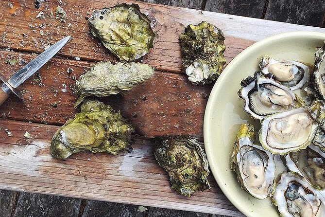 Peljesac Wine & Ston Oysters PRIVATE HALF DAY SHORE TOUR - Pickup to Mali Ston Bay, meeting fisherman Mario