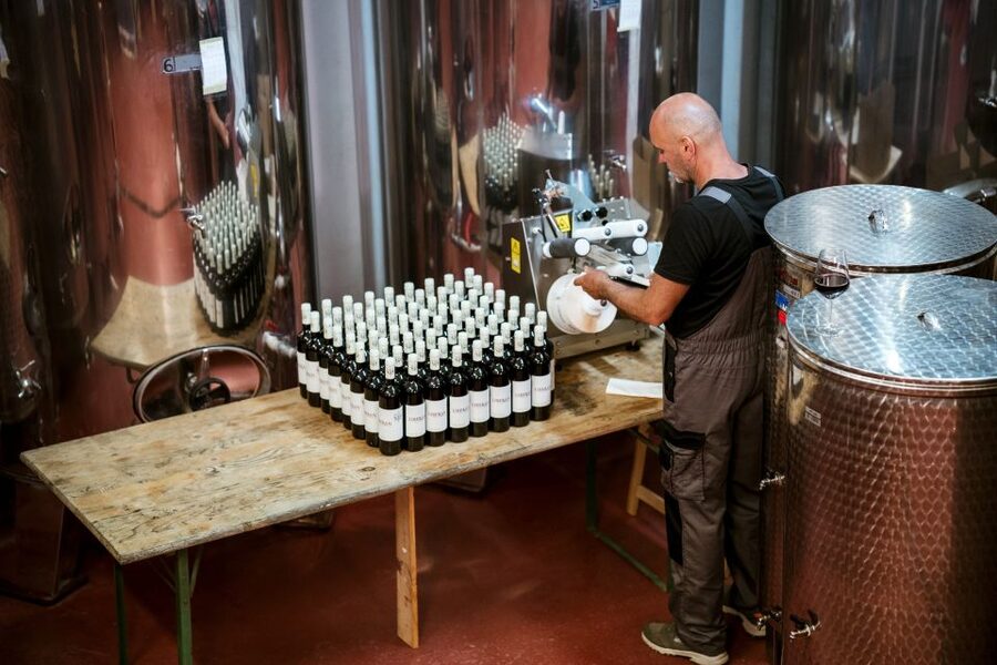Pelješac wine tasting and local winery visit - Should you book Winery Škurla in Broce?