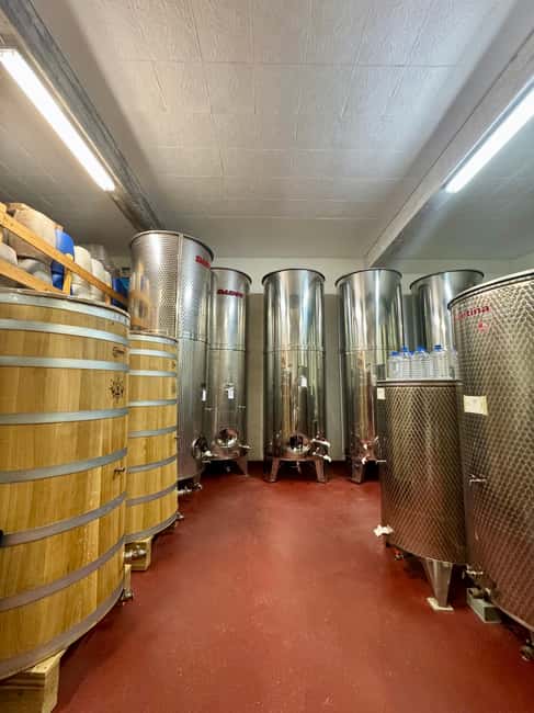 Pelješac wine tasting and local winery visit - Price and value: why $43 works for what you get