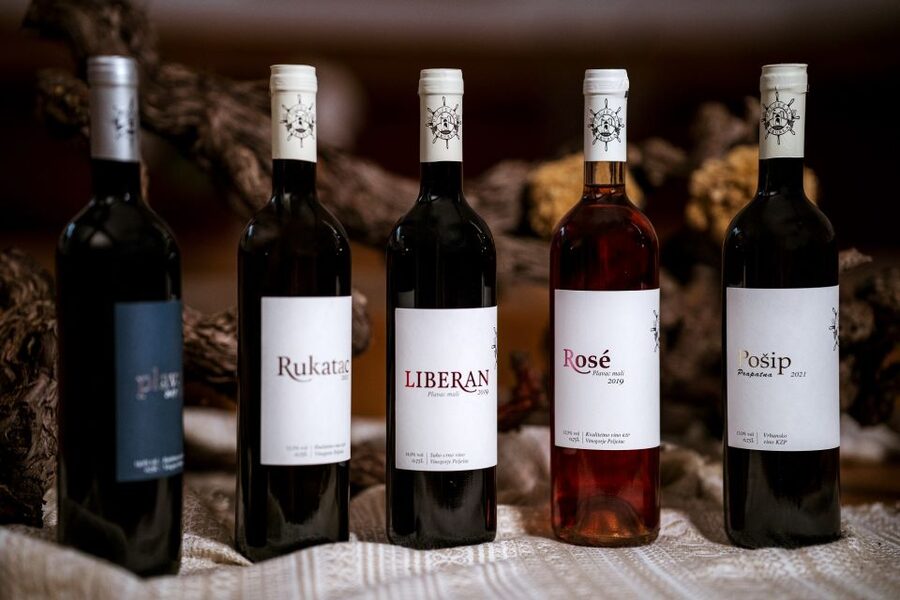 Pelješac wine tasting and local winery visit - Who should book this Pelješac winery tasting?