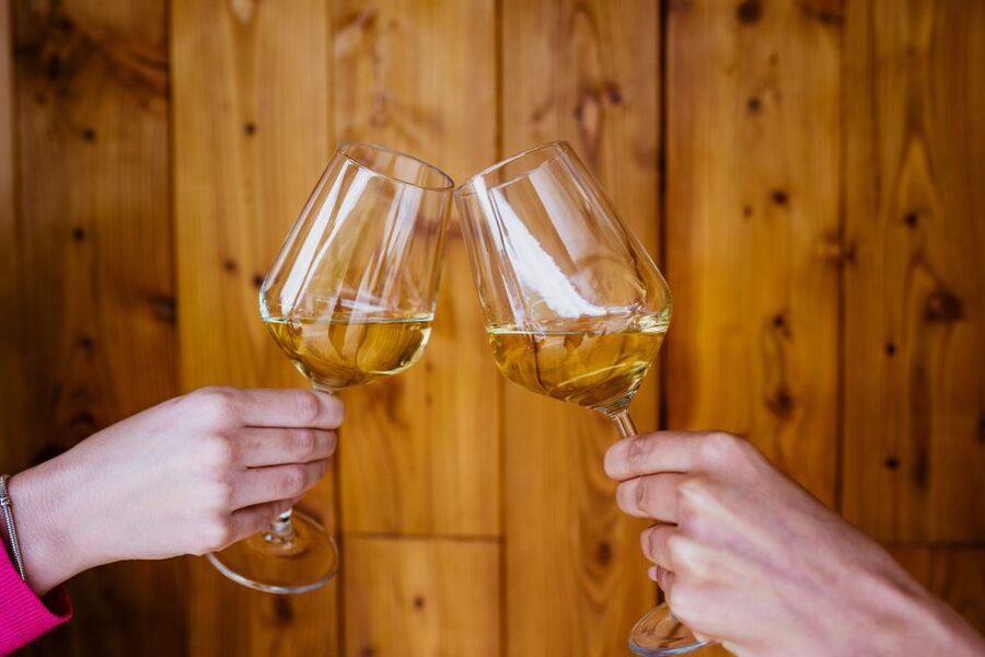 Pelješac wine tasting and local winery visit - From Ston to Broce: easy to find, easy to start