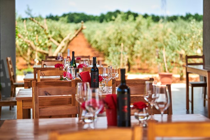 PERVINO - Wine tasting - Key highlights you should know before you go