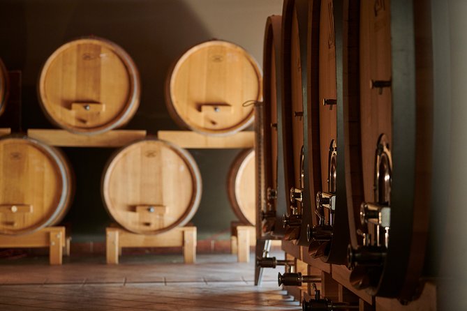 PERVINO - Wine tasting - Timing, meeting point, and practical tips to enjoy it smoothly