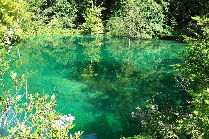 Plitvice Lakes and Rastoke Private Day Tour from Zagreb - How Much You Pay and What You Actually Get