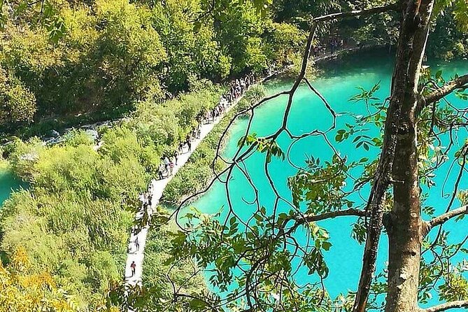Plitvice Lakes Day Tour from Zadar, Simple and Safe - Route B vs Route C: choose based on stamina, not just photos