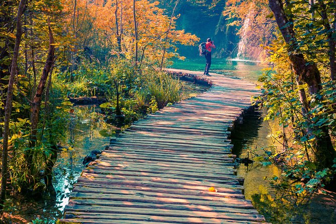 Plitvice Lakes Economy Group Tour from Split or Trogir - Comfort, group size, and why timing feels different on these days